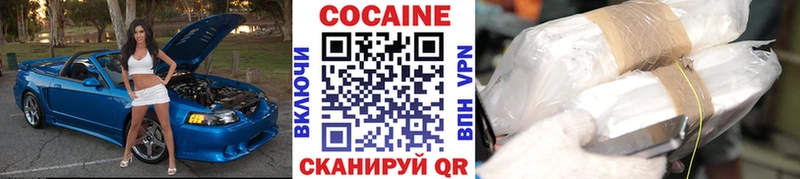 hydra как войти  Черкесск  COCAIN FishScale 