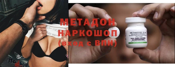 прущие грибы Заволжье