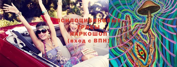прущие грибы Заволжье