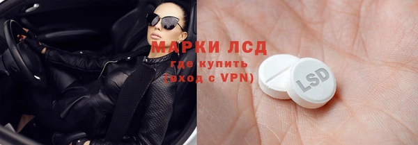 прущие грибы Заволжье