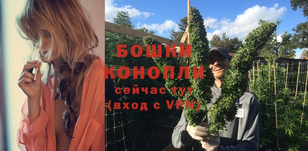 прущие грибы Заволжье