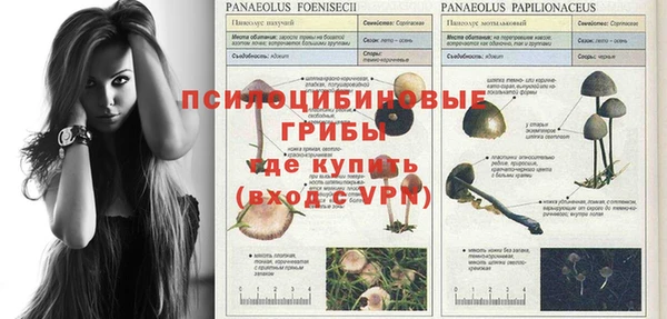 крисы Заводоуковск