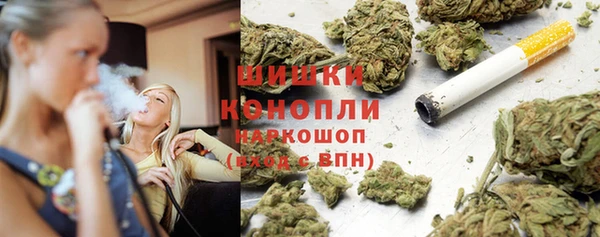 крисы Заводоуковск