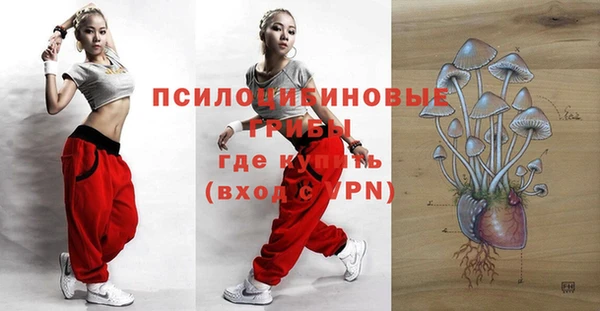 прущие грибы Заволжье