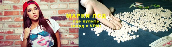 крисы Заводоуковск