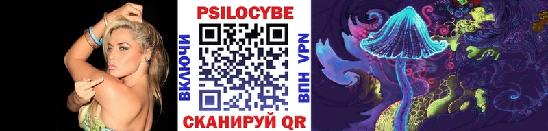 Псилоцибиновые грибы Cubensis  Черкесск 